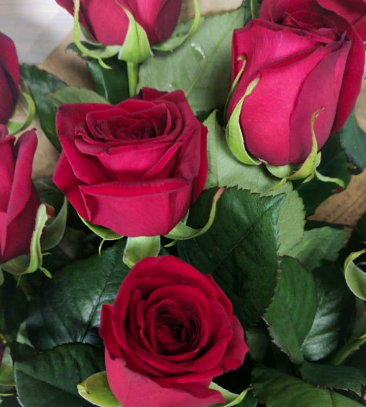 Купить Букет из 9 роз «Ред Наоми» с доставкой по Магнитогорску