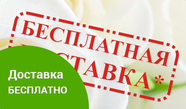 Бесплатная доставка цветов при покупке от 3 000 рублей.